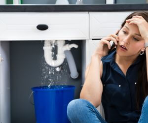About Emergency plumbing pros New Auburn, MN